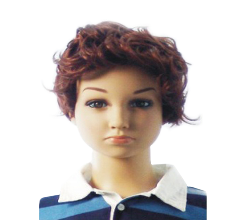Boy's Curly Hair Wig