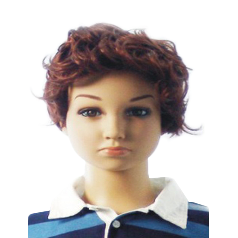 Boy's Curly Hair Wig