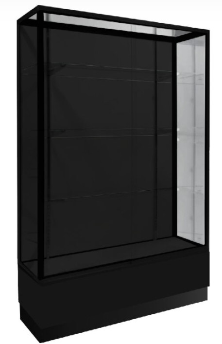 Black Standard Extra Vision Wall Case