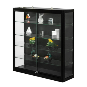 40" Black Extra Vision Wall Mounted Case