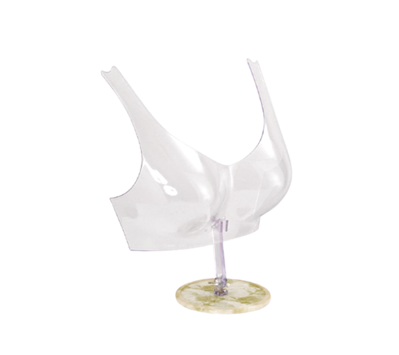 Bra Form Display
